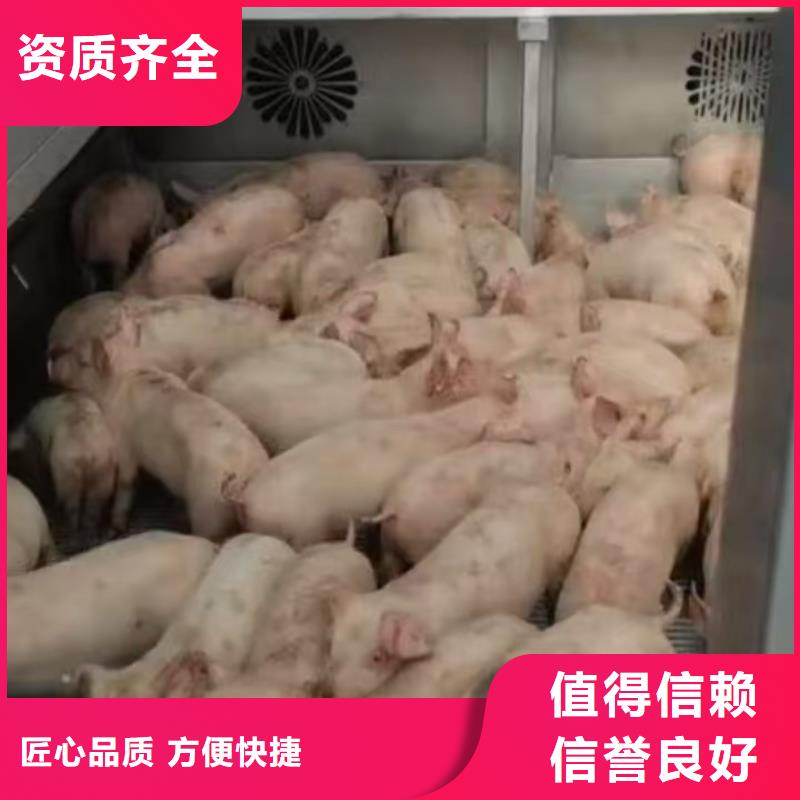 烟台到农牧运输空调车收费合理