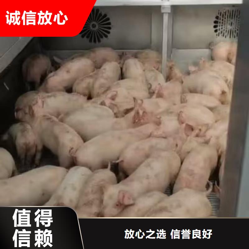 许昌到羊运输专用车管理规范