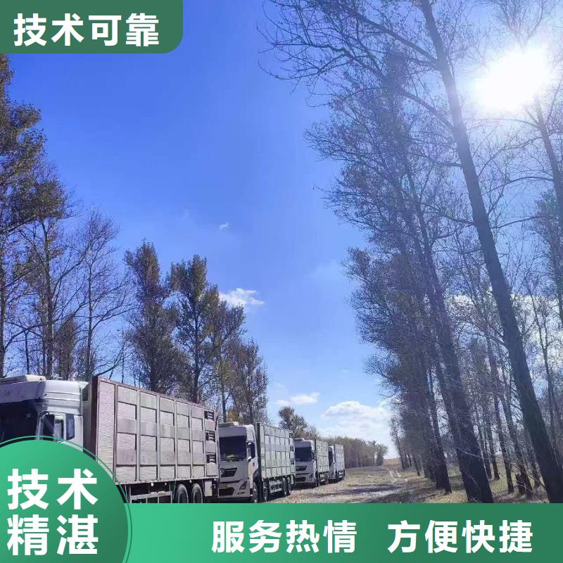 盐城至猪笼车物流调度精准