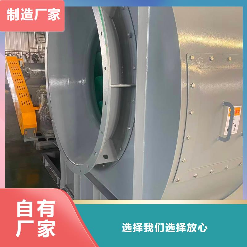 LFSR200临沂鼓风机实拍品质保障2025实时更新今日/窑炉风机