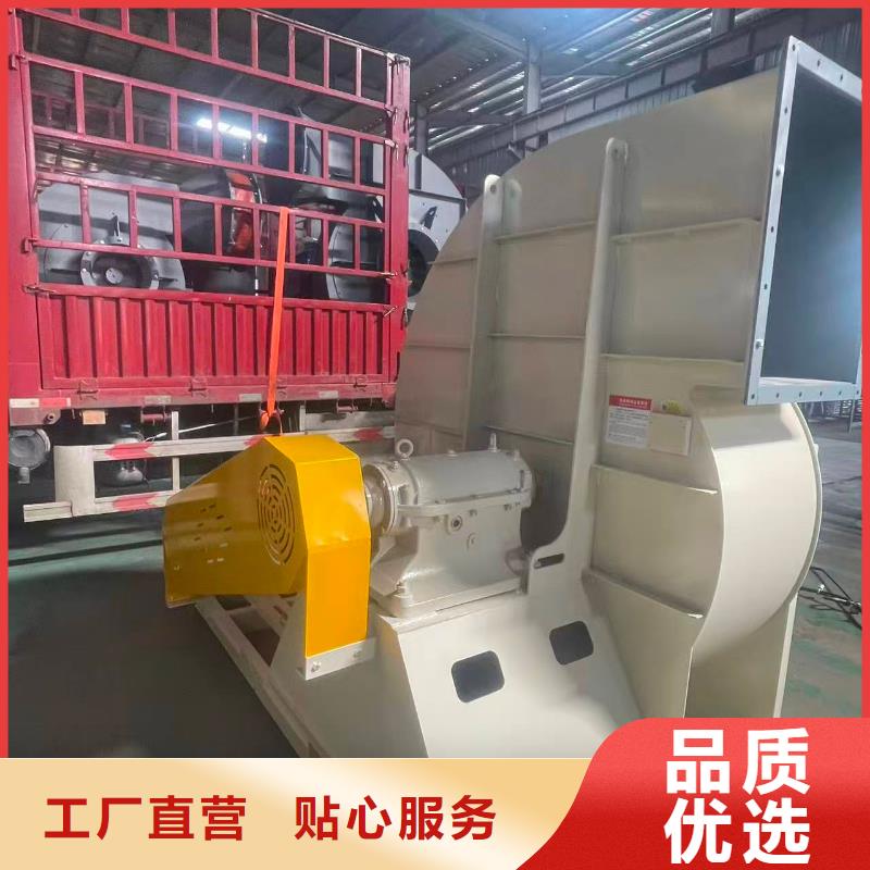 LFSR200临沂鼓风机实拍品质保障2025实时更新今日/窑炉风机