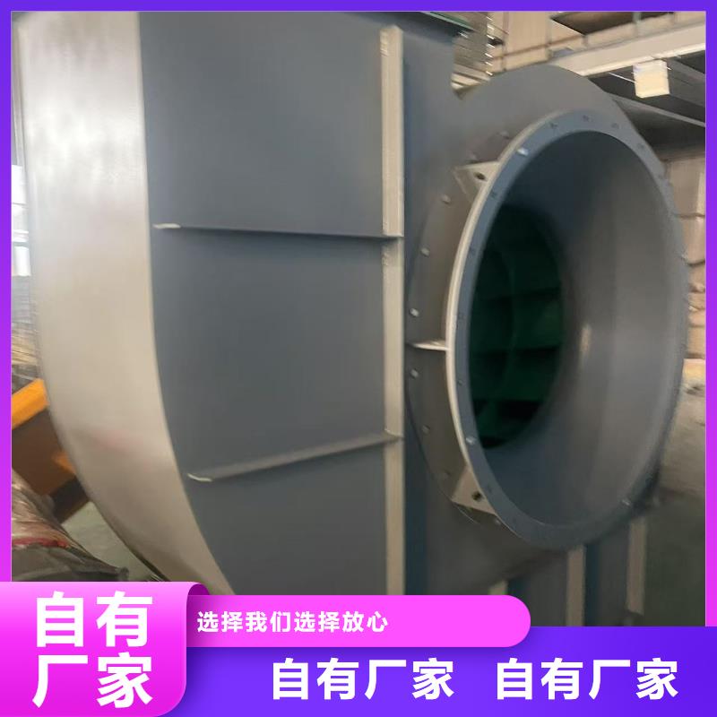 4-73NO28F三叶罗茨鼓风机一站式供应厂家2025实时更新今日行情硫化风机